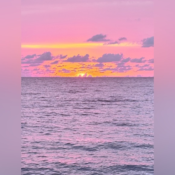 Meet your Posher, Shelley - Picture 4 of 7